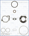 TRISCAN 595-80100 - Dichtungssatz, Kurbelgehäuse