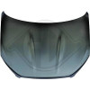 DIEDERICHS 6045900 - Motorhaube