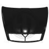 DIEDERICHS 7831000 - Motorhaube