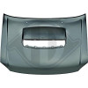 DIEDERICHS 5403800 - Motorhaube