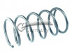 CS Germany 14.875.805 - Fahrwerksfeder
