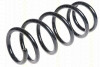 TRISCAN 87505094 - Fahrwerksfeder