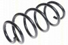 TRISCAN 875016098 - Fahrwerksfeder