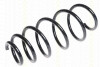 TRISCAN 875024170 - Fahrwerksfeder