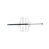 DIEDERICHS 9221600 - Gasfeder, Koffer-/Laderaum