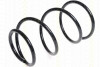 TRISCAN 87506843 - Fahrwerksfeder