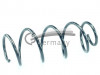 CS Germany 14.319.001 - Fahrwerksfeder