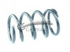 CS Germany 14.872.876 - Fahrwerksfeder