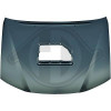 DIEDERICHS 6685800 - Motorhaube