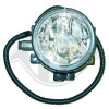 DIEDERICHS 5280888 - Nebelscheinwerfer