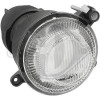 DIEDERICHS 1605088 - Nebelscheinwerfer