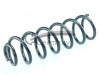 CS Germany 14.877.050 - Fahrwerksfeder