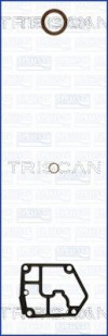 TRISCAN 595-85100 - Dichtungssatz, Kurbelgehäuse