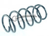 CS Germany 14.950.268 - Fahrwerksfeder