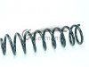 CS Germany 14.319.584 - Fahrwerksfeder