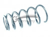 CS Germany 14.872.454 - Fahrwerksfeder