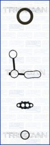 TRISCAN 595-85148 - Dichtungssatz, Kurbelgehäuse