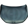 DIEDERICHS 2251000 - Motorhaube