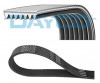 DAYCO 7PK1127 - Keilrippenriemen