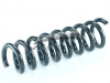 CS Germany 14.319.591 - Fahrwerksfeder