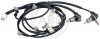 A.B.S. 31248 - Sensor, Raddrehzahl
