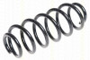 TRISCAN 875029330 - Fahrwerksfeder