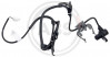 A.B.S. 31025 - Sensor, Raddrehzahl