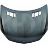 DIEDERICHS 1692000 - Motorhaube