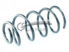 CS Germany 14.504.226 - Fahrwerksfeder