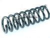 CS Germany 14.319.556 - Fahrwerksfeder