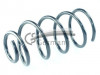 CS Germany 14.504.224 - Fahrwerksfeder