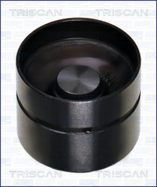 TRISCAN 80-17000 - Ventilstößel