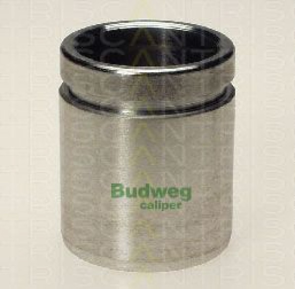TRISCAN 8170233830 - Kolben, Bremssattel