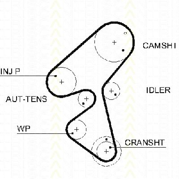 TRISCAN 86455587xs - Zahnriemen