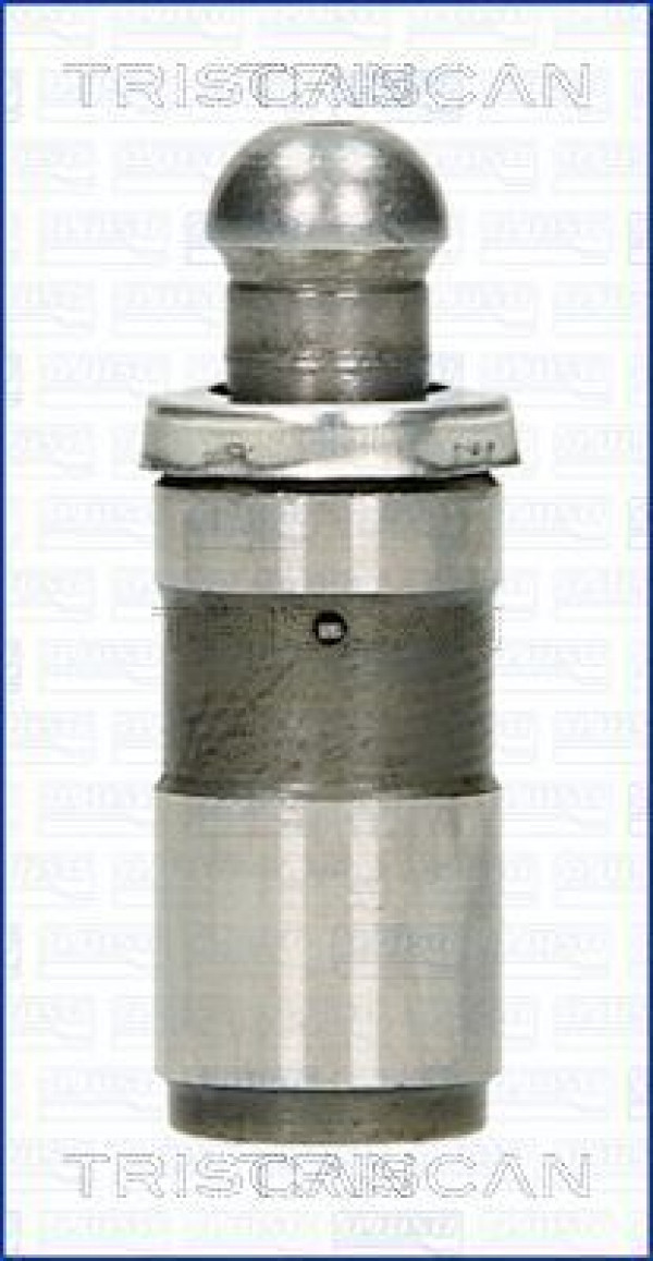 TRISCAN 80-25006 - Ventilstößel