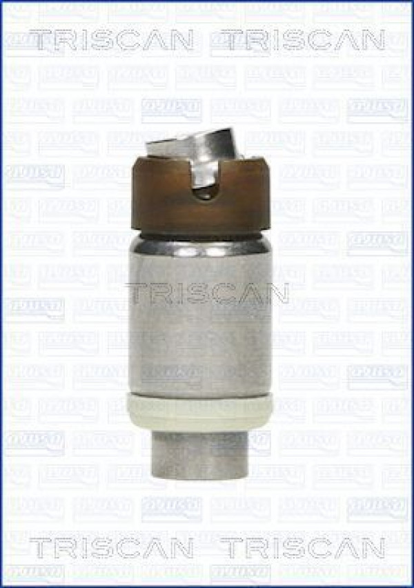 TRISCAN 80-15001 - Ventilstößel