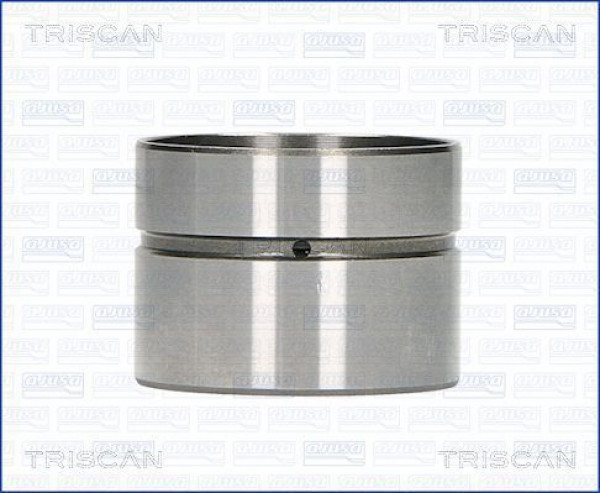 TRISCAN 80-27001 - Ventilstößel