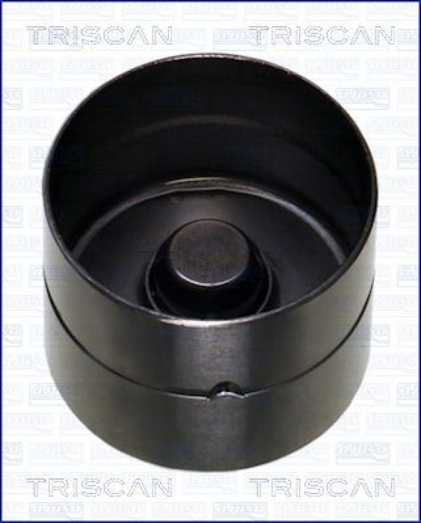 TRISCAN 80-16002 - Ventilstößel
