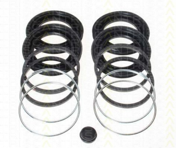 TRISCAN 8170204522 - Reparatursatz, Bremssattel