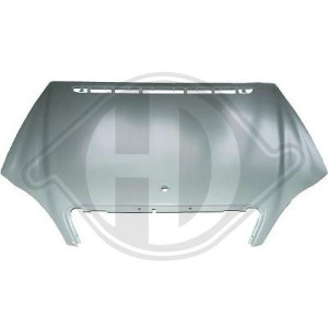 DIEDERICHS 1646100 - Motorhaube
