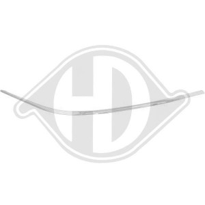 DIEDERICHS 1647163 - Zier-/Schutzleiste, Stoßfänger