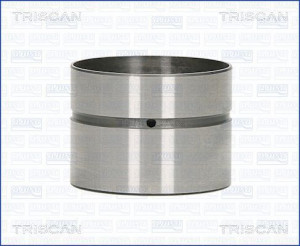 TRISCAN 80-29007 - Ventilstößel