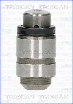 TRISCAN 80-42002 - Ventilstößel