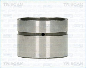 TRISCAN 80-11000 - Ventilstößel