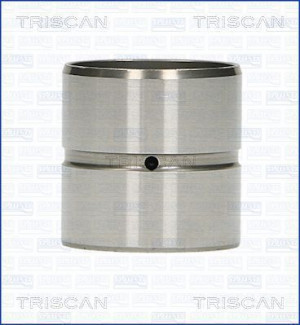 TRISCAN 80-29001 - Ventilstößel