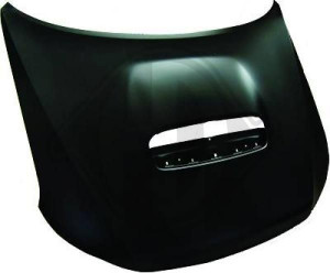 DIEDERICHS 6242100 - Motorhaube