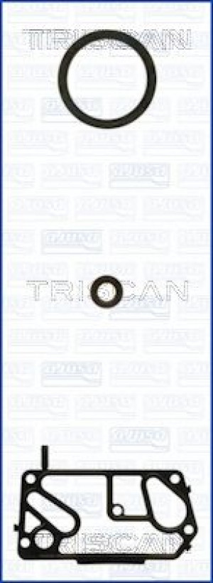 TRISCAN 595-85134 - Dichtungssatz, Kurbelgehäuse