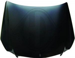 DIEDERICHS 1616001 - Motorhaube