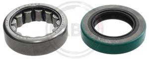 A.B.S. 200959 - Radlagersatz
