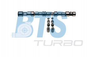 BTS Turbo CP62243 - Nockenwellensatz